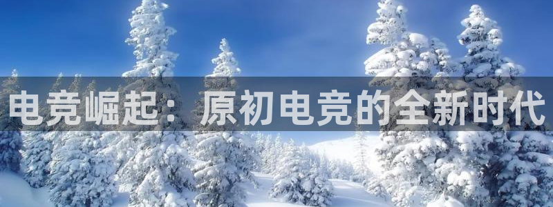 南宫电竞官网：电竞崛起：原初电竞的全新时代