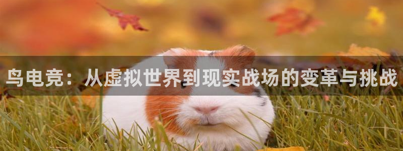 南宫电竞注册：鸟电竞：从虚拟世界到现实战场的变革与挑战