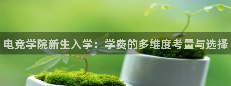 南宫电竞贴吧：电竞学院新生入学：学费的多维度考量与选择