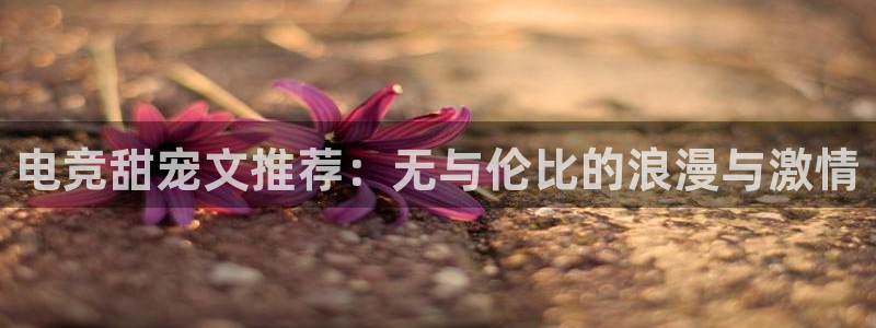 南宫电竞app：电竞甜宠文推荐：无与伦比的浪漫与激情