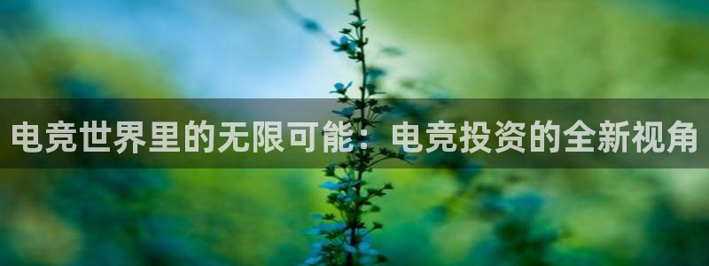 南宫电竞平台：电竞世界里的无限可能：电竞投资的全新视角