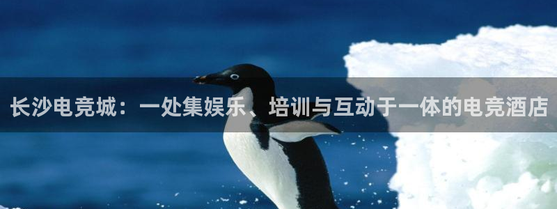 南宫电竞网：长沙电竞城：一处集娱乐、培训与互动于一体的电竞酒店