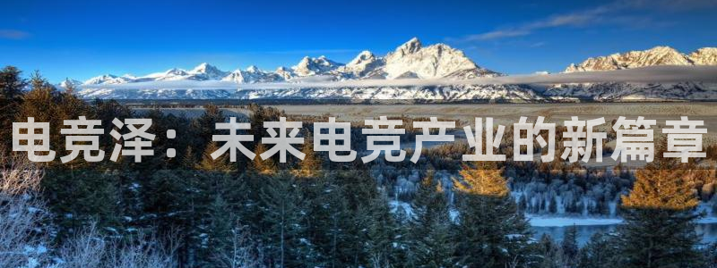 南宫电竞app