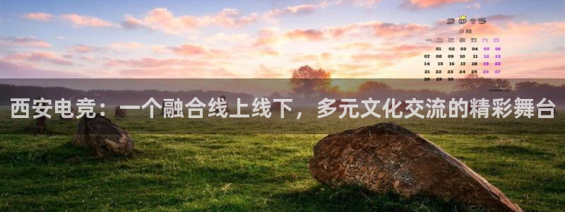 南宫电竞网