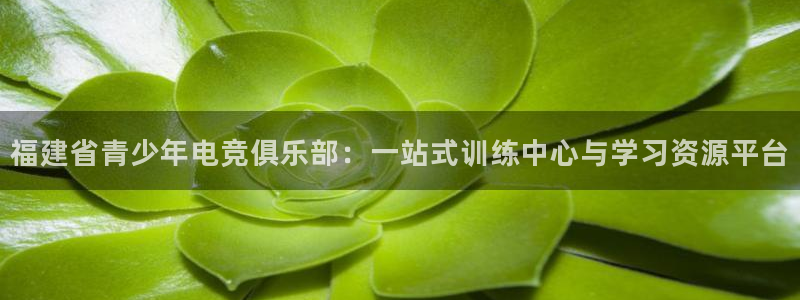 南宫电竞网