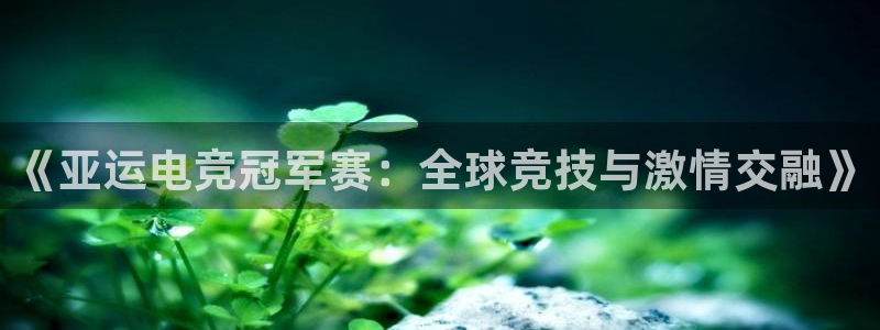 南宫电竞网