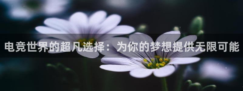 南宫电竞app
