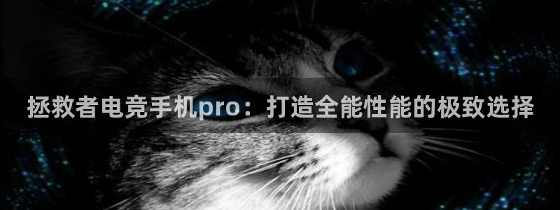南宫电竞网