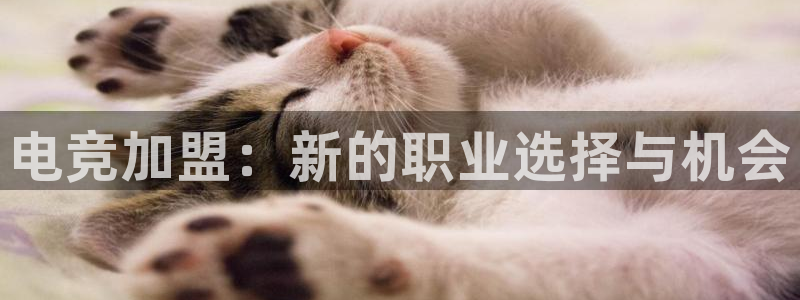 南宫电竞贴吧：电竞加盟：新的职业选择与机会