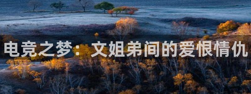 南宫电竞注册：电竞之梦：文姐弟间的爱恨情仇