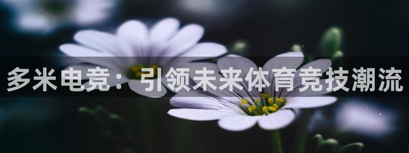 南宫电竞网：多米电竞：引领未来体育竞技潮流