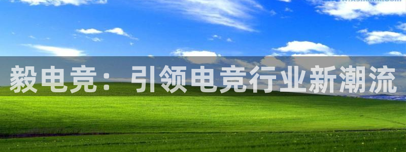 南宫电竞平台：毅电竞：引领电竞行业新潮流