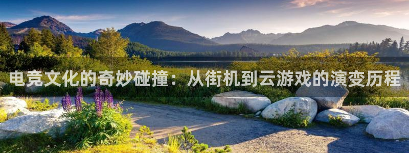 南宫电竞注册：电竞文化的奇妙碰撞：从街机到云游戏的演变历程