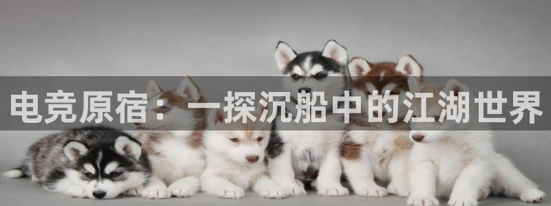 南宫电竞官网：电竞原宿：一探沉船中的江湖世界